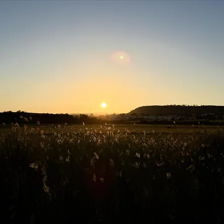 5-min Walk To - Bright 2-br With Private Garden & Sunset Views Holiday home *