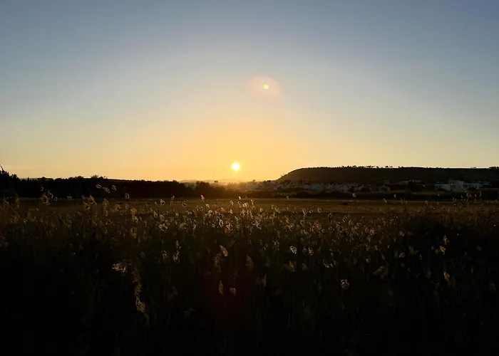 5-min Walk To - Bright 2-br With Private Garden & Sunset Views 別荘 *